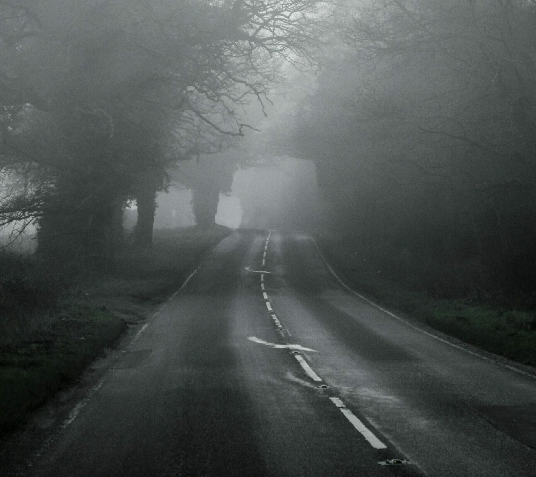 Which Environmental Conditions Lead to Car Accidents?