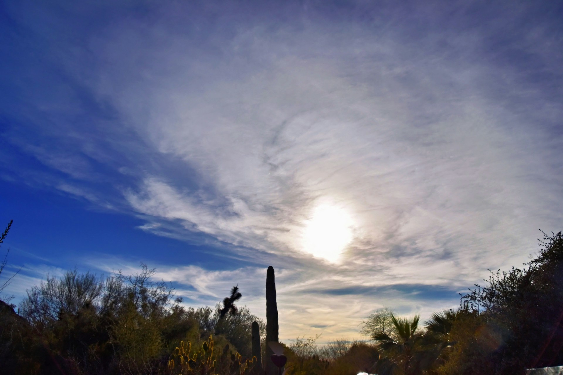 Which Weather Conditions Cause The Most Accidents in Phoenix?