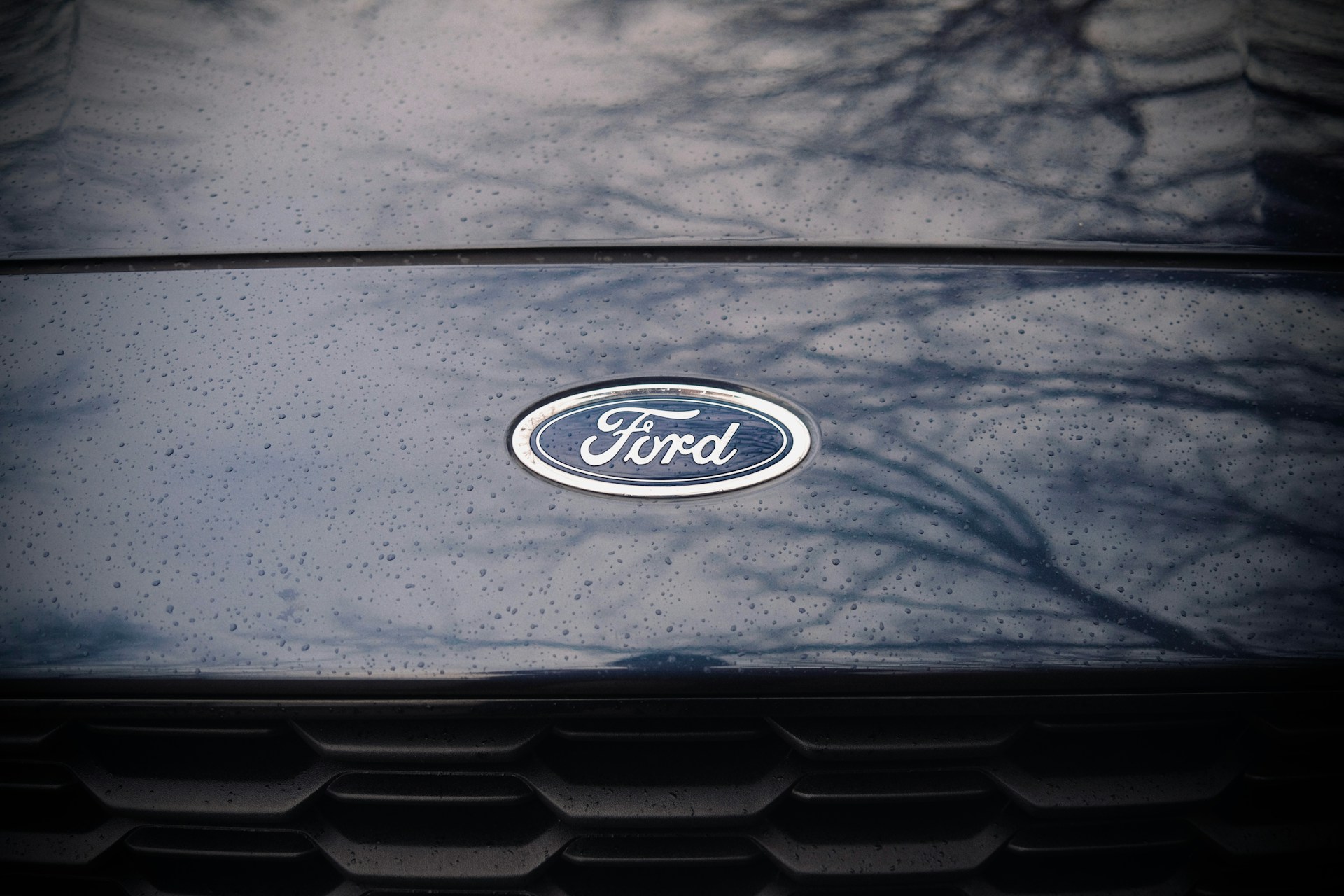 Innovation and Excellence: A Closer Look at Ford’s Wide Range of Vehicles