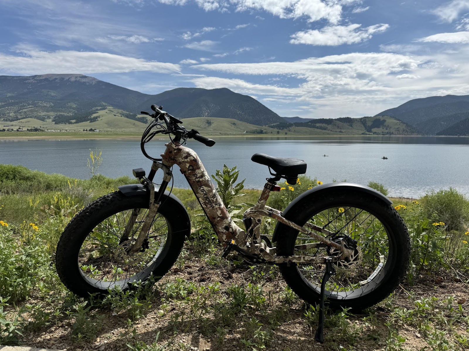 Puckipuppy’s Electric Mountain Bike