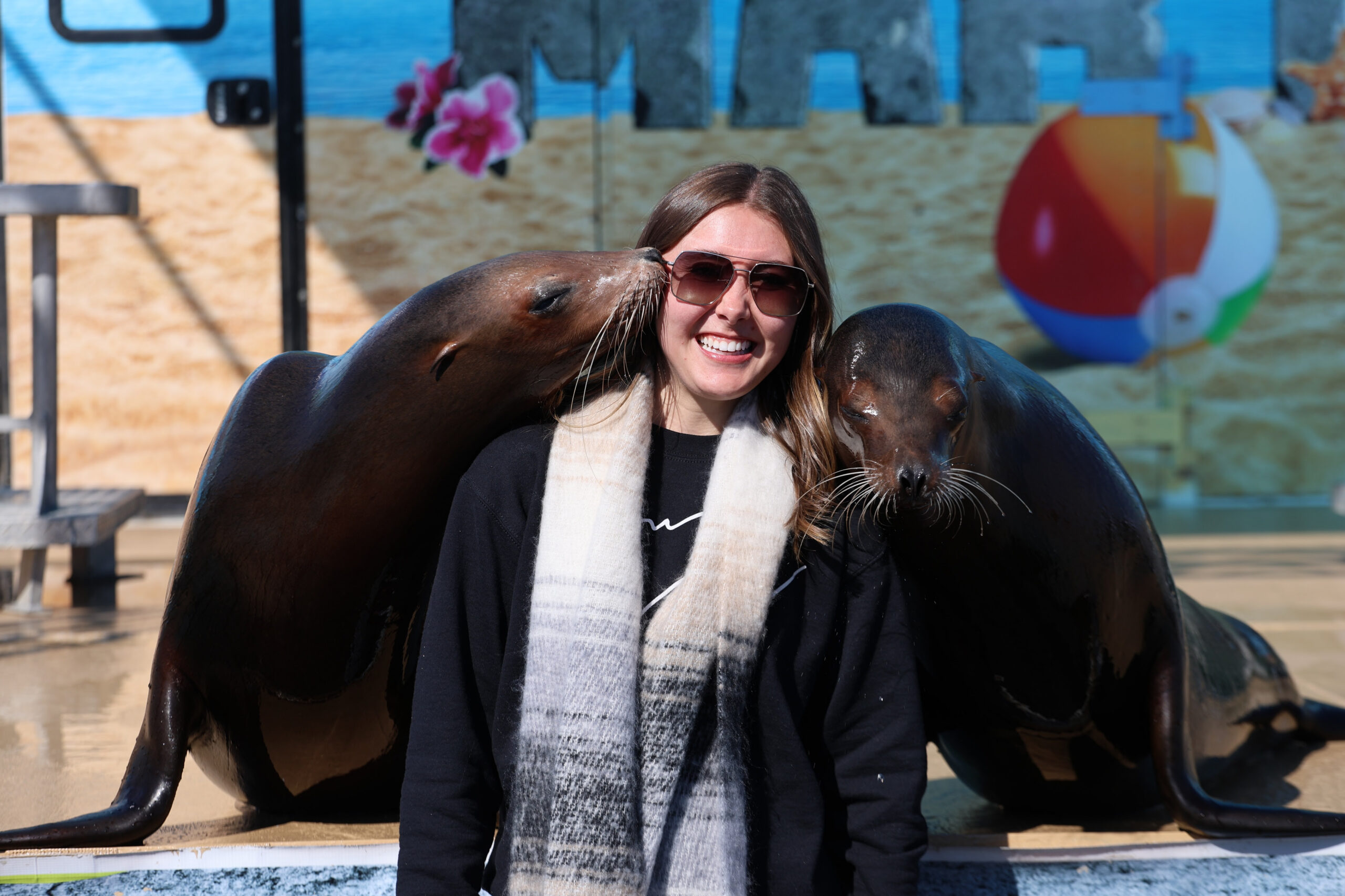 BACK BY POPULAR DEMAND: SEA LIONS RETURNING TO AMS FOR JUNE NASCAR WEEKEND