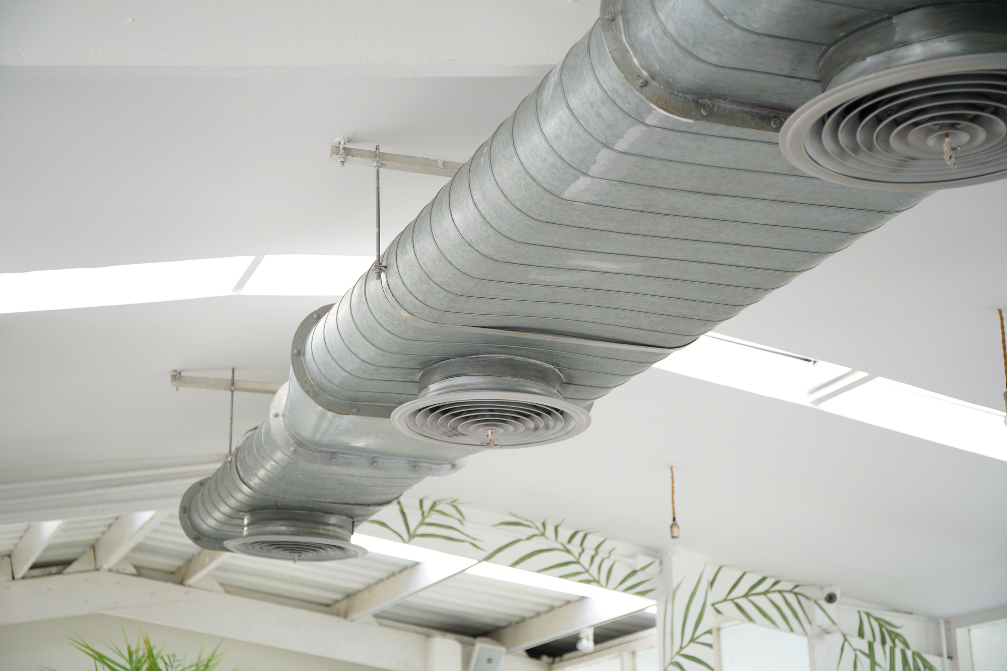Is Your Home Overdue for a Duct Treatment? Signs to Watch For