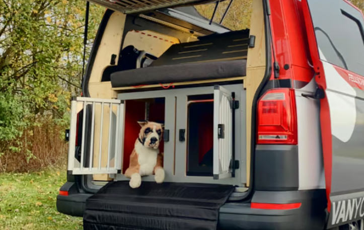 Building the Perfect Dog-Friendly Campervan