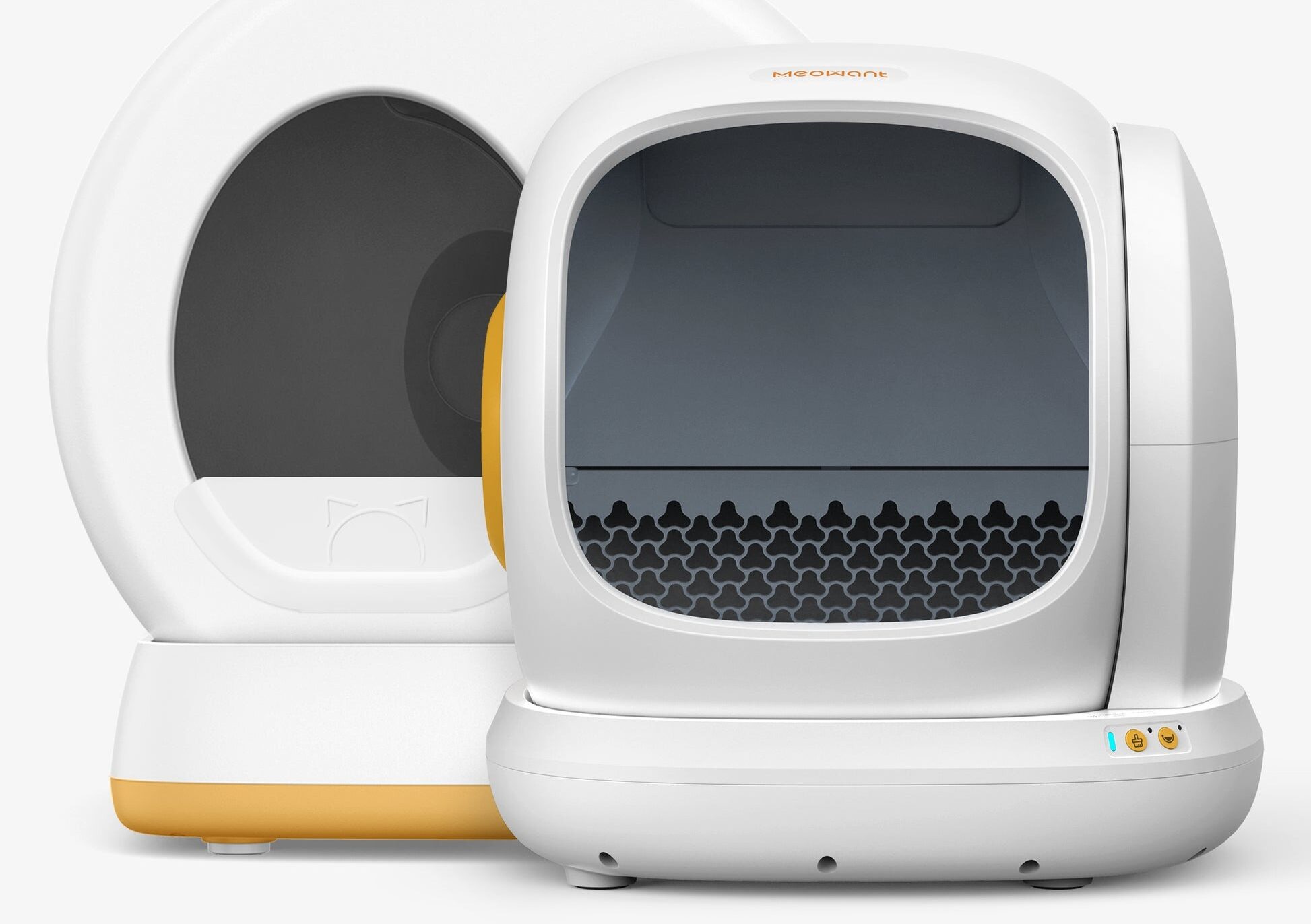 How Many Automatic Boxes Do You Really Need for 2, 3, or 4 Cats?