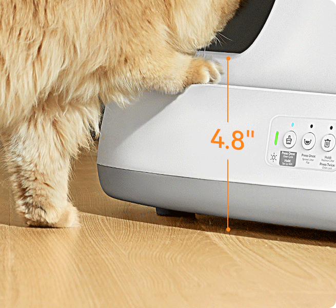 Is Your Automatic Litter Box Suitable for Large Cats?