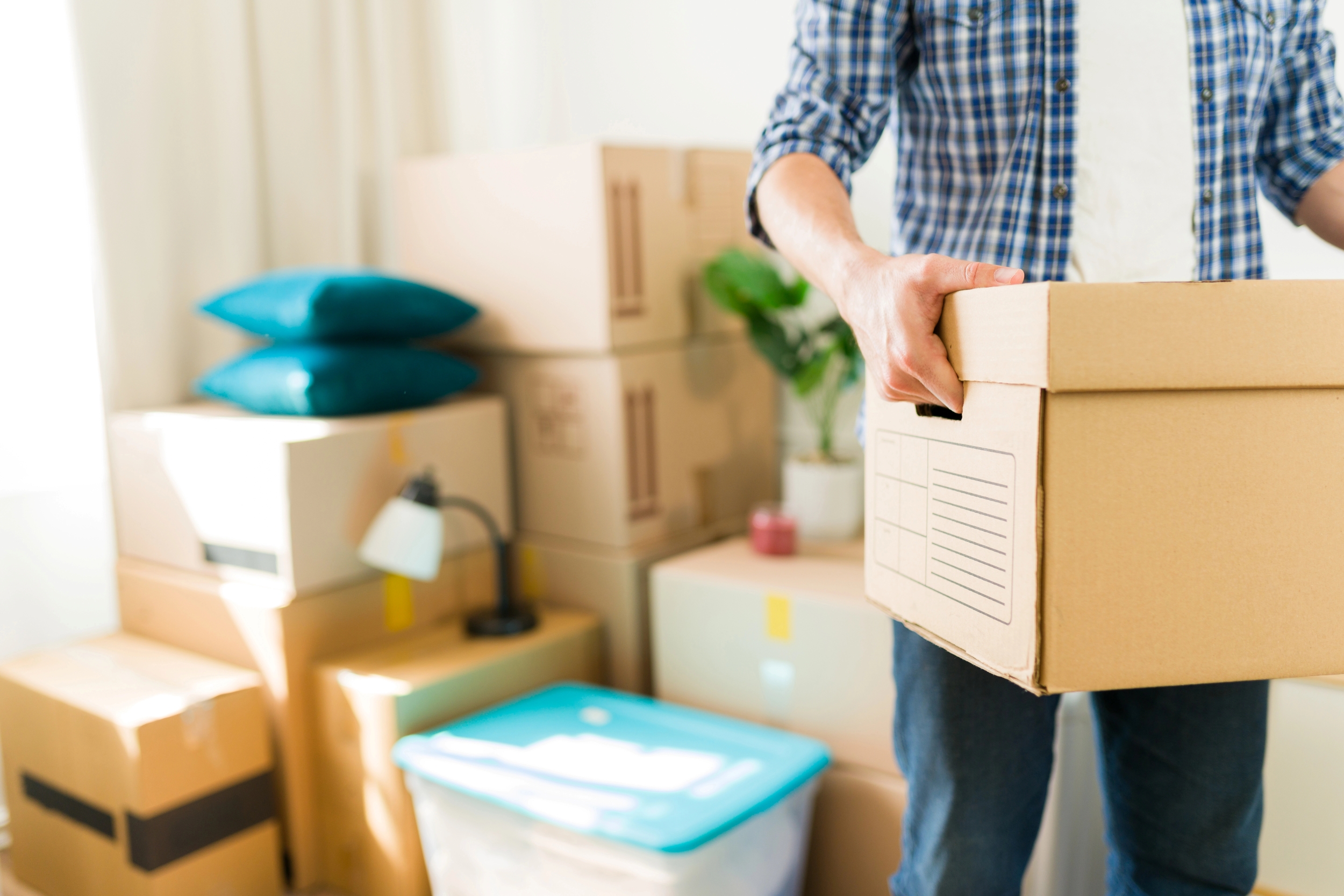 Search for services and amenities through the Tbilistings platform