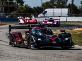 Pierce Marshall – HSR Classic Endurance Championship Presented by Mission Foods 2025 Champion