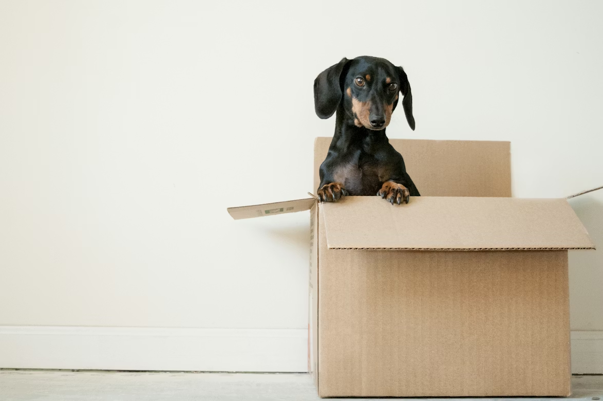 Mistakes to Avoid When Moving: 5 Costly Errors That Ruin Moves