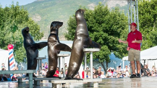 NASCAR AT COTA Fan Zone Gets Splashy for Upcoming DuraMAX Grand Prix Powered by RelaDyne Race Weekend