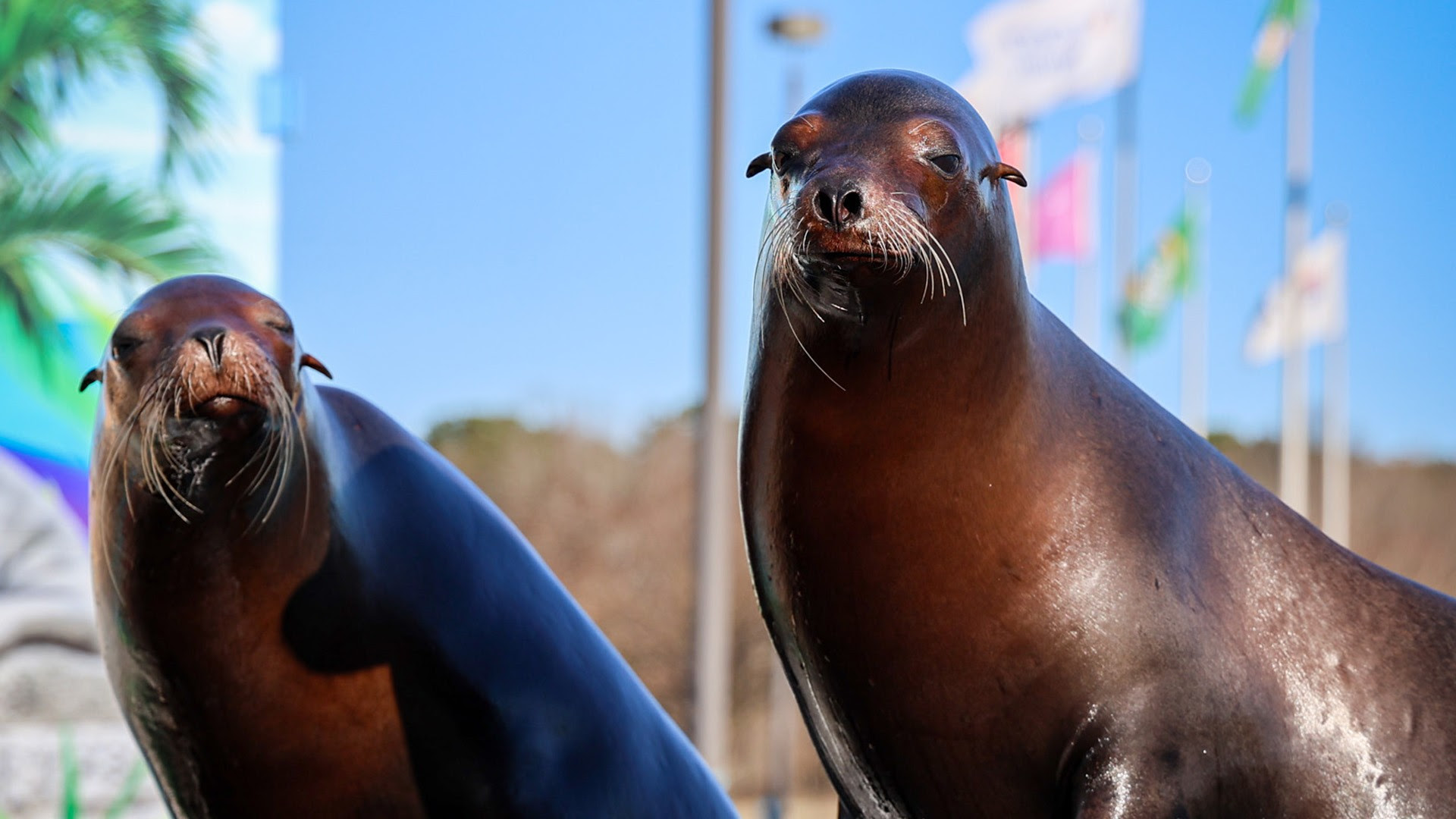 HIGH-SPEED RACING ACTION IS PAIRED WITH WORLD-CLASS ENTERTAINMENT DURING AUTOTRADER 400 WEEKEND