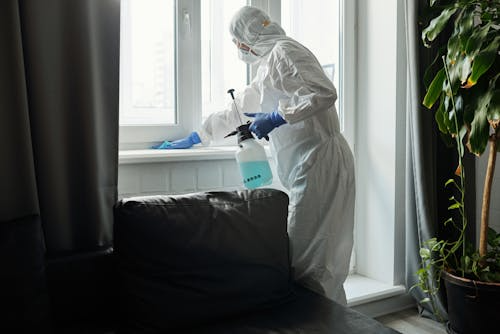 How Do I Choose A Pest Control Service? How Do I Choose A Pest Control Service?