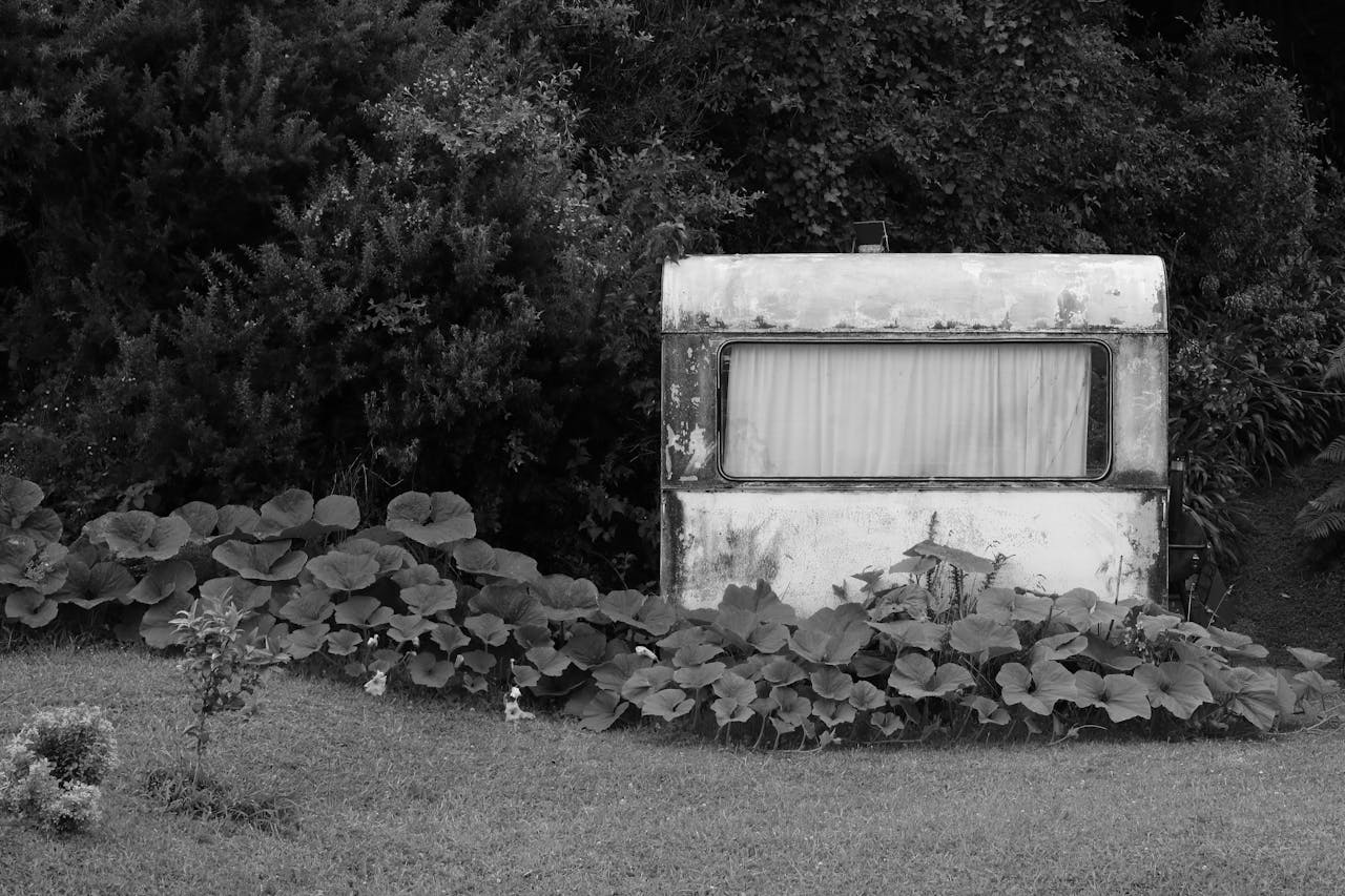 From Eyesore to Quick Cash: Selling Your Junk RV in West Virginia From Eyesore to Quick Cash: Selling Your Junk RV in West Virginia