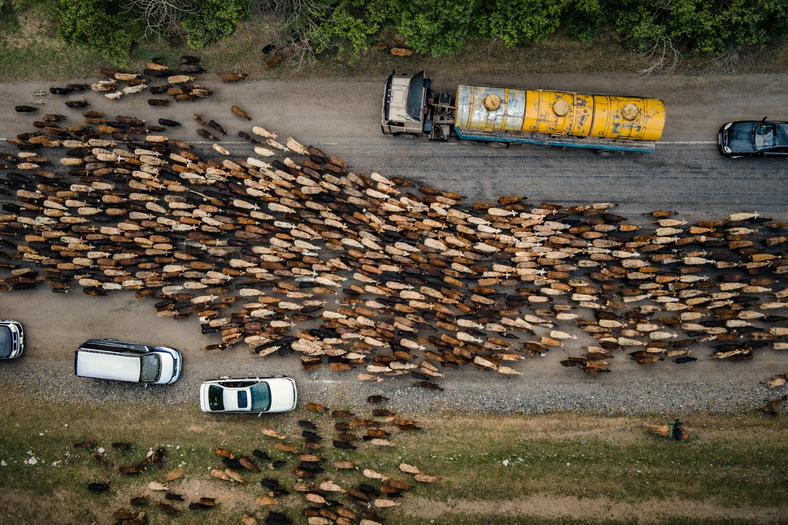 Driving in Kyrgyzstan: A Safety Guide for Expats and Foreign Travelers Driving in Kyrgyzstan: A Safety Guide for Expats and Foreign Travelers