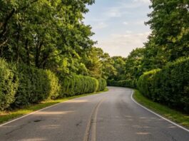 Driving to the Hamptons: Routes, Timing, and the Quieter Towns Worth a Detour