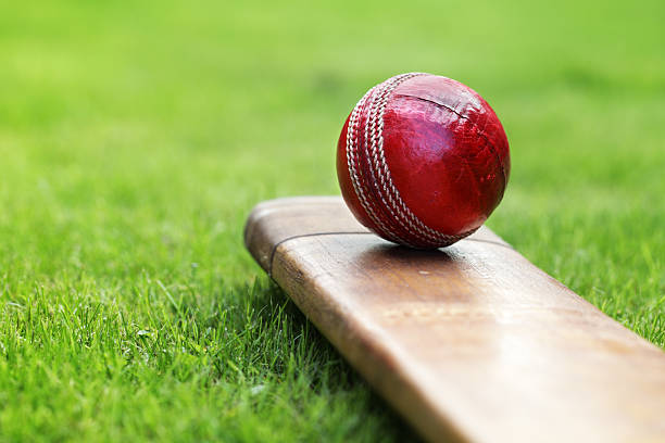 Former racing driver takes the helm of South Africa’s largest veterans cricket league Former racing driver takes the helm of South Africa’s largest veterans cricket league