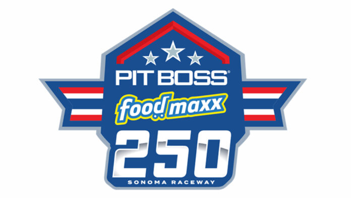 pit boss 250