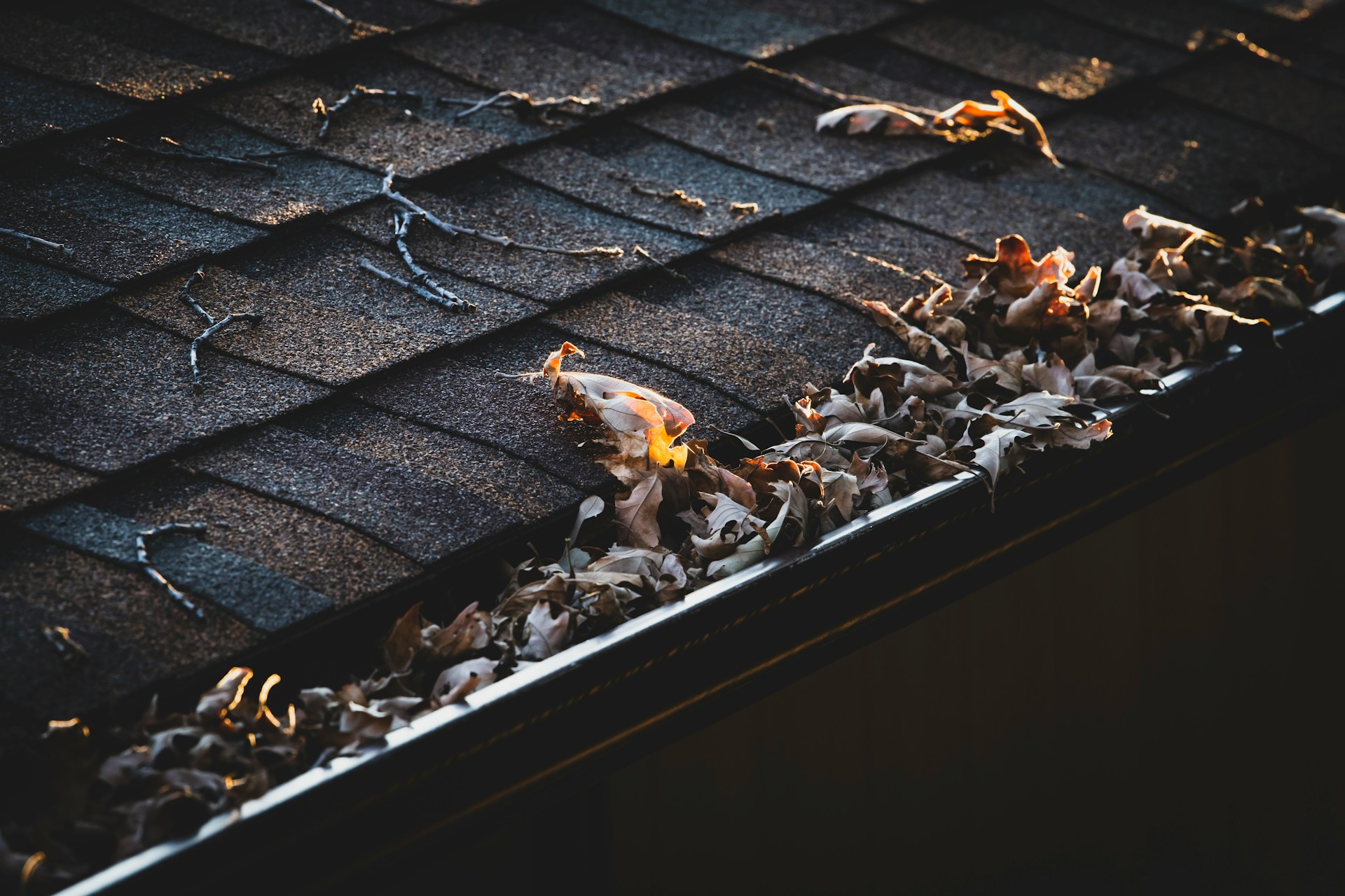 How Gutter Cleaning Helps Prevent Foundation Problems and Protects Long-Term Property Value How Gutter Cleaning Helps Prevent Foundation Problems and Protects Long-Term Property Value