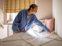 What Are The Best Bed Bug Treatment Options Available?