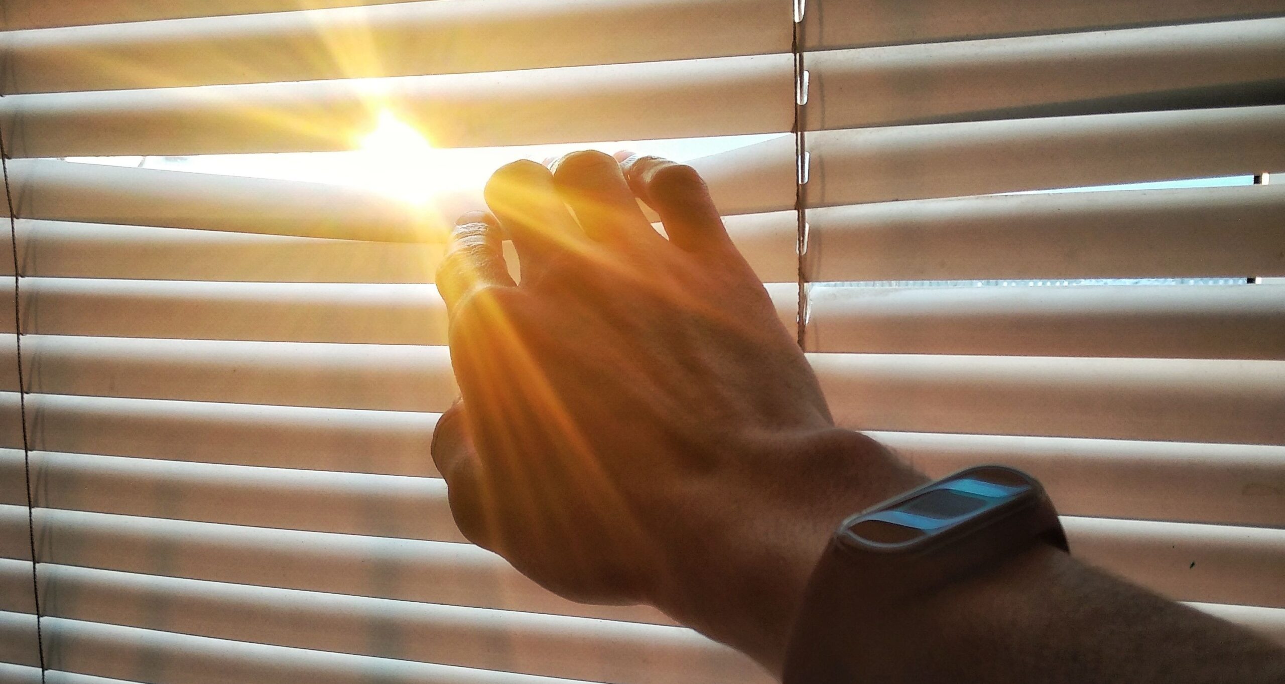 How to Choose the Right Blinds for Every Room in Your Home How to Choose the Right Blinds for Every Room in Your Home