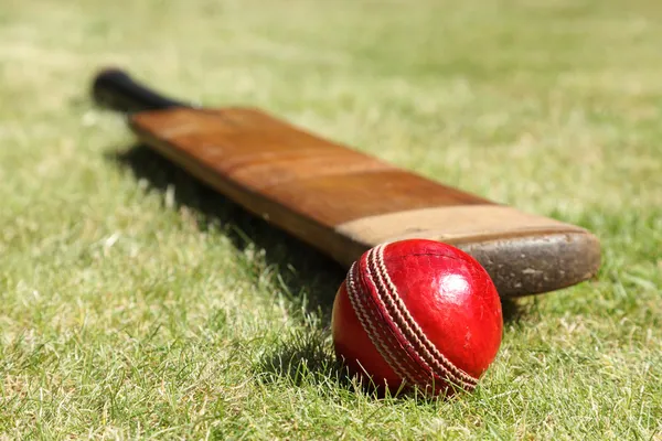 Why Is Fairplay Becoming Popular Among Sports Fans? Why Is Fairplay Becoming Popular Among Sports Fans?