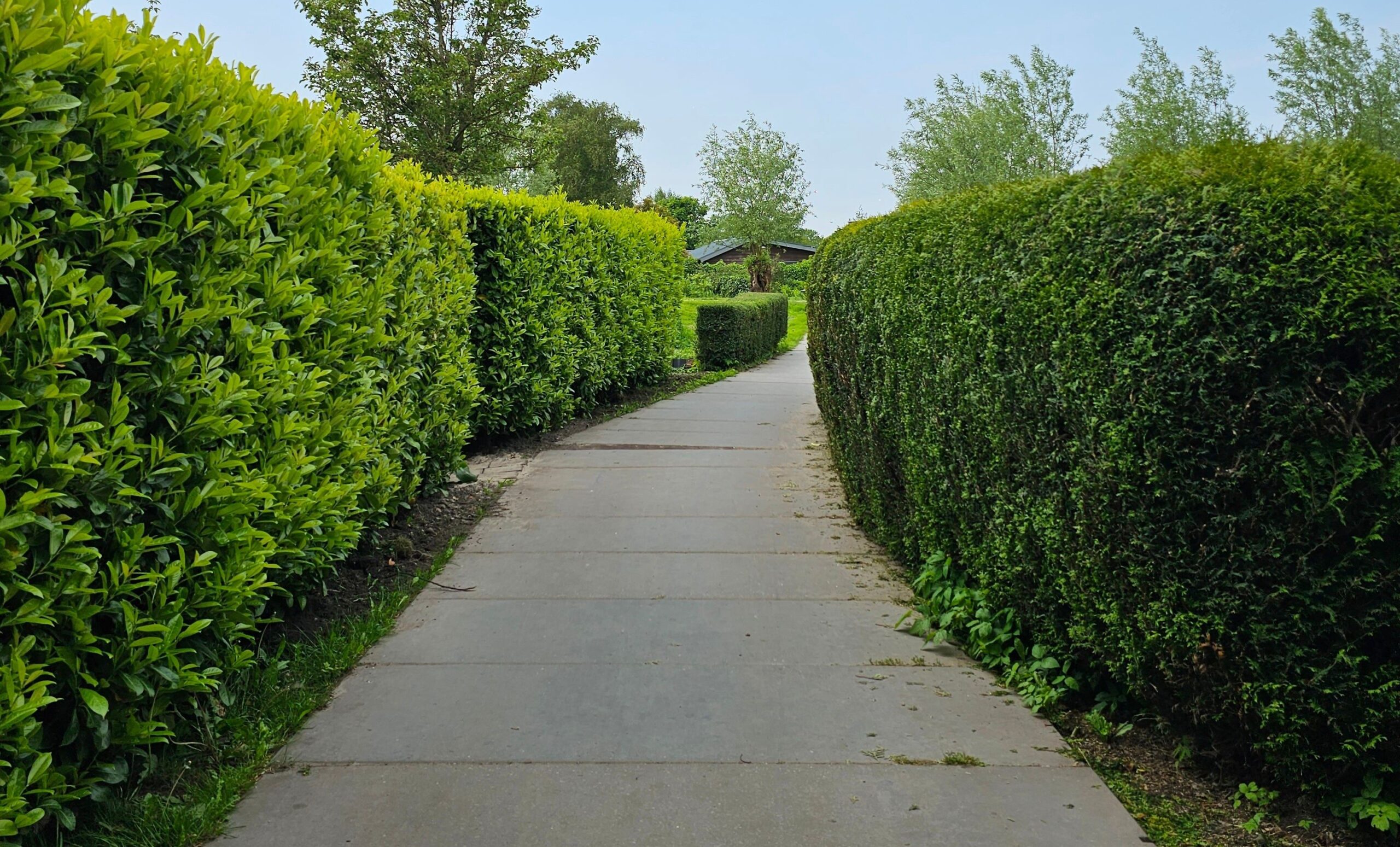 How Defensible Space Design Shapes Safer Vegetation Management Around Rural Properties How Defensible Space Design Shapes Safer Vegetation Management Around Rural Properties