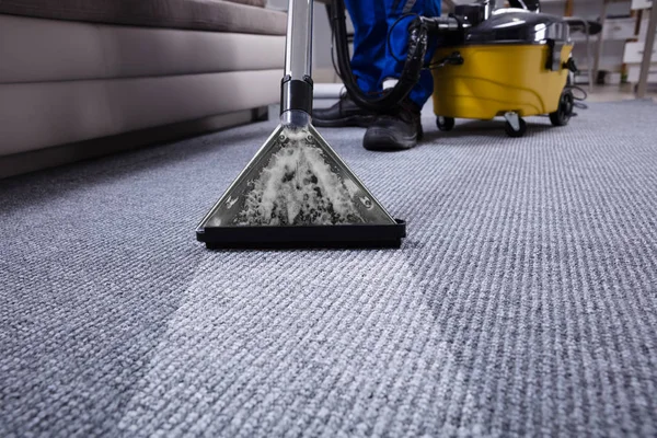 Carpet Cleaning Strategies for Busy Households With Pets, Children, and Heavy Foot Traffic Carpet Cleaning Strategies for Busy Households With Pets, Children, and Heavy Foot Traffic