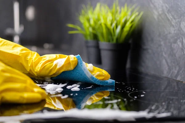Cleaning Services for Homes With Indoor Pets, Shedding, Paw Prints, and Everyday Messes Cleaning Services for Homes With Indoor Pets, Shedding, Paw Prints, and Everyday Messes