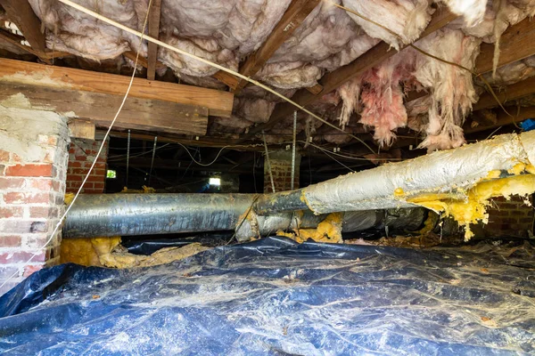 Why Crawl Space Moisture Can Create Conditions That Attract Pests Into Your Home Why Crawl Space Moisture Can Create Conditions That Attract Pests Into Your Home