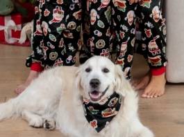 Pets Rarely Sit Still, So Family Christmas Pajamas Need Photo-Friendly Details