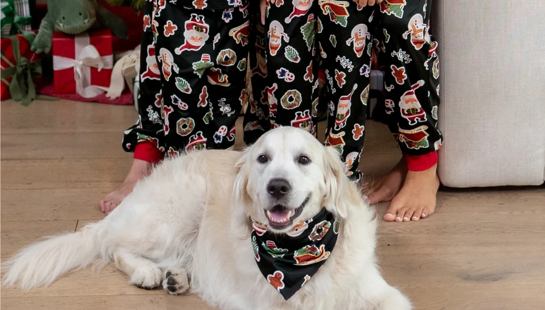 Pets Rarely Sit Still, So Family Christmas Pajamas Need Photo-Friendly Details Pets Rarely Sit Still, So Family Christmas Pajamas Need Photo-Friendly Details