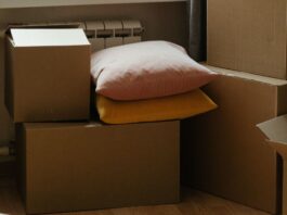 Long-Distance Move from Toronto: Things You Need to Know