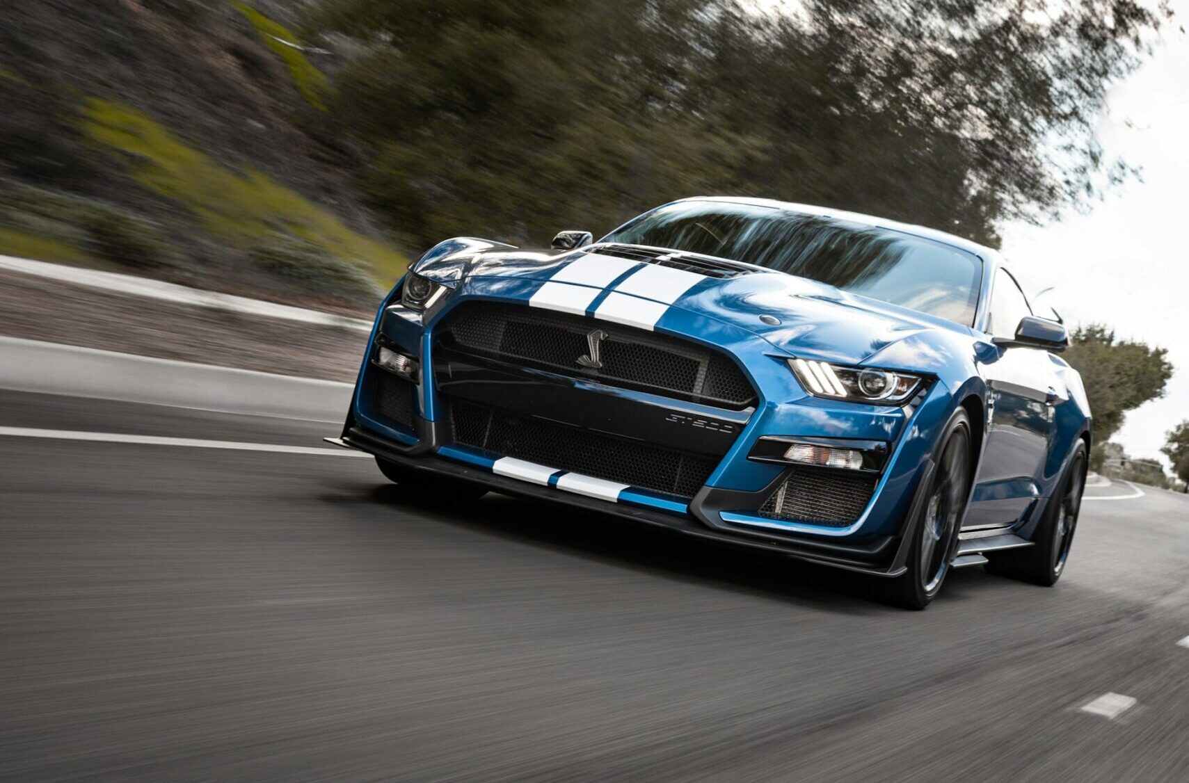 Ford Cars in Lexington: Comparing Features and Performance Ford Cars in Lexington: Comparing Features and Performance