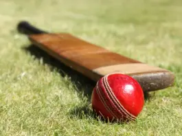 How Pitch Reports Can Help You Understand a Cricket Match on Winbuzz