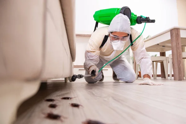 How Seasonal Weather Changes Can Influence Pest Activity Around Residential Properties How Seasonal Weather Changes Can Influence Pest Activity Around Residential Properties