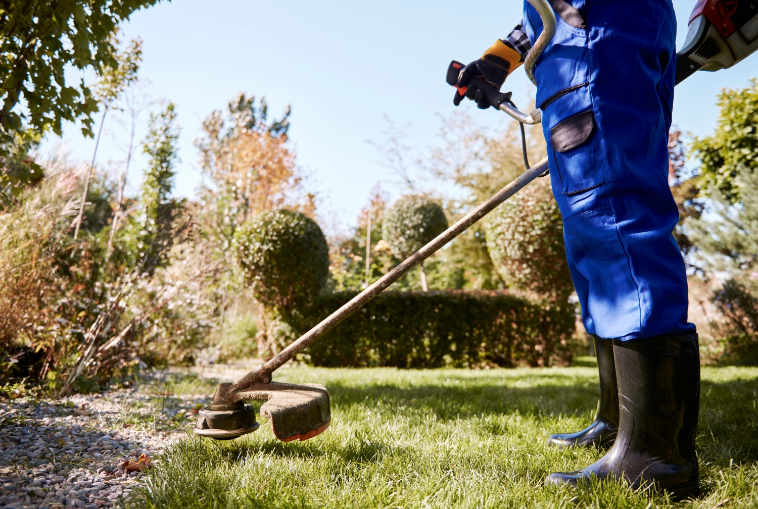 How A Local Lawn Care Company Eliminates Weeds Safely How A Local Lawn Care Company Eliminates Weeds Safely