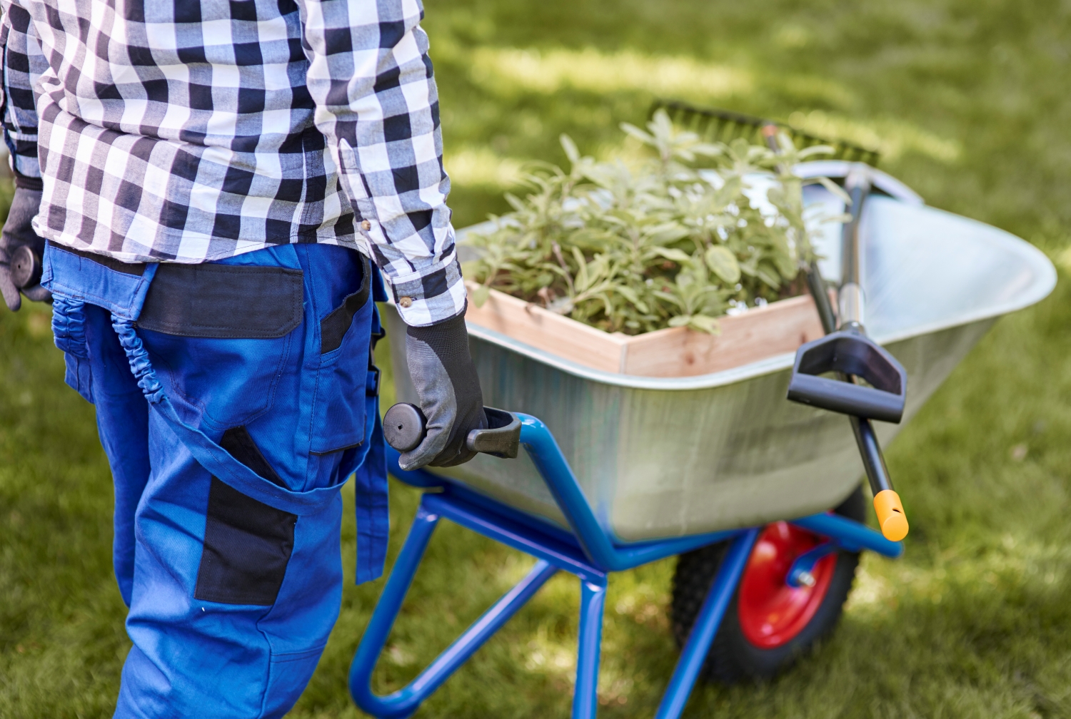 Apply Targeted Weed Control Treatments
